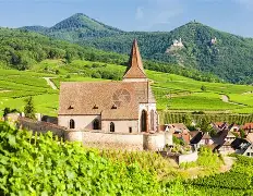 拜仁vs法兰克福预测分析