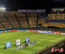 什么导致了武汉三镇的闪崩 什么导致了武汉三镇的闪崩