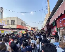 皇马欧冠备战策略